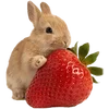 Emoji 027