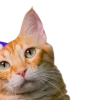 Emoji 061