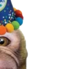 Emoji 096