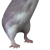 Emoji 097