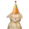 Emoji 105