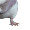 Эмодзи 107