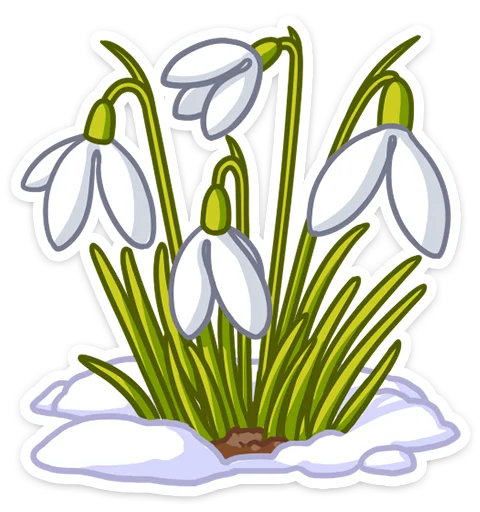 Sticker 019