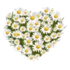 Emoji 064
