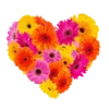 Emoji 065