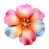 Emoji 077
