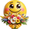 Emoji 080