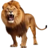 Emoji 029