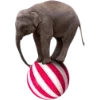 Emoji 082